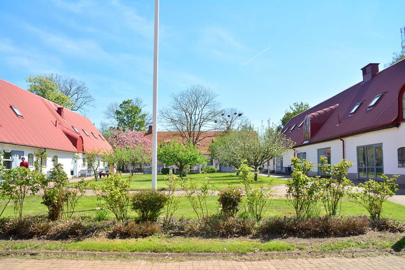 Yard